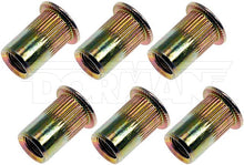 Load image into Gallery viewer, 963-250D Pack Of 6 Riv Nuts Dorman Canada