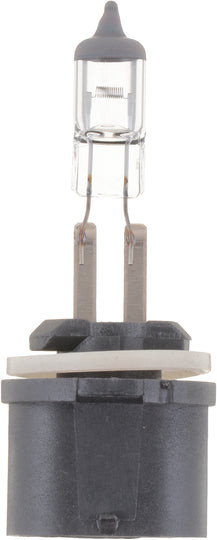 893B1 Philips Standard Fog Light 893 - Standard - Single Blister Pack Philips Bulbs