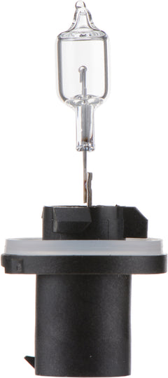 890B1 Philips Standard Fog Light 890 - Standard - Single Blister Pack Philips Bulbs