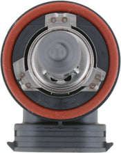Load image into Gallery viewer, H8B1 Philips Standard Headlight H8 - Standard - Single Blister Pack Philips Bulbs