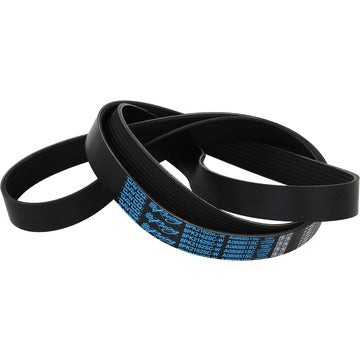 A080851SC Serpentine Belt Dayco Canada