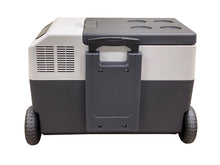 Load image into Gallery viewer, ACTENT2A-FL029 Enthuze Portable Cooler Enthuze Canada