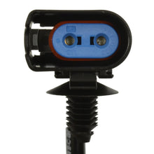 Charger l'image dans la galerie, ALH111 Standard Ignition ABS Wheel Speed Sensor Wiring Harness Standard Ignition Canada