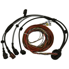 Load image into Gallery viewer, ALH267 Standard Ignition ABS Wheel Speed Sensor Wiring Harness Standard Ignition Canada