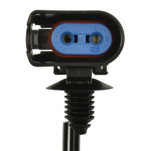 Load image into Gallery viewer, ALH96 Standard Ignition ABS Wheel Speed Sensor Wiring Harness Standard Ignition Canada