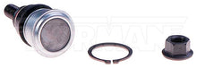 Load image into Gallery viewer, 533-258 Suspension Ball Joint Dorman - OE Solutions Canada