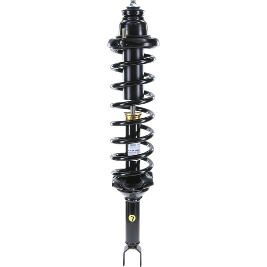 181286L RoadMatic Complete Strut Assembly BCZC