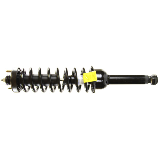 181325 RoadMatic Complete Strut Assembly BCZC