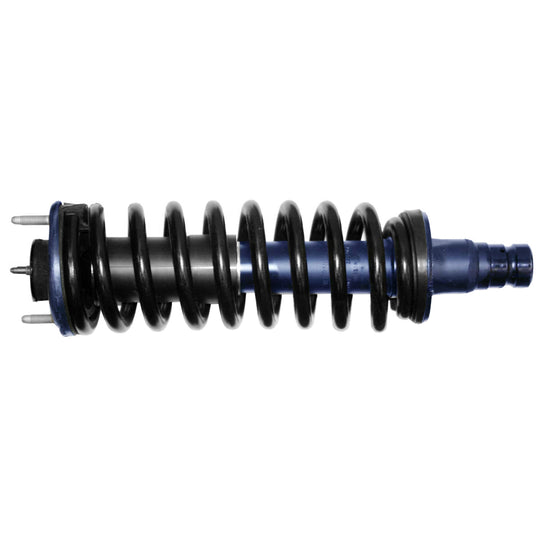 181341 RoadMatic Complete Strut Assembly BCZC
