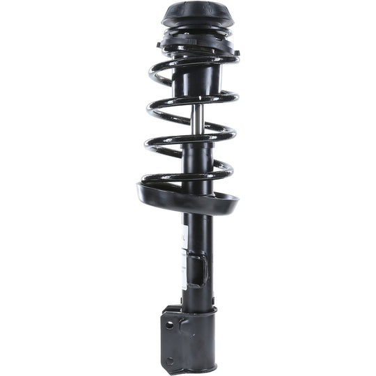 181556 RoadMatic Complete Strut Assembly BCZC