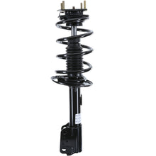 Load image into Gallery viewer, 182620 RoadMatic Complete Strut Assembly BCZC