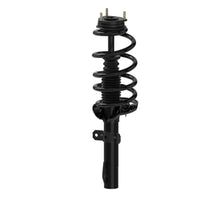 Load image into Gallery viewer, 253005 Magnum Loaded Assembly Complete Strut Assembly BCZC