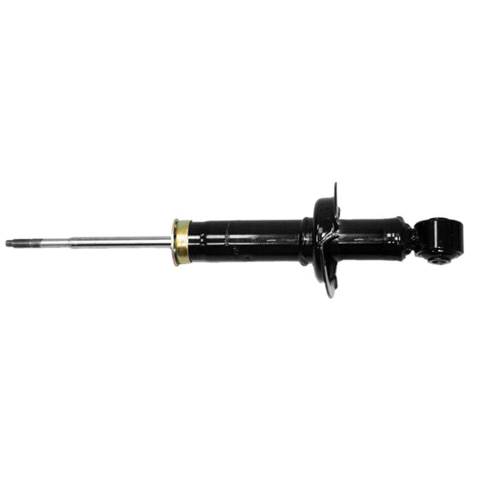 71101 OESpectrum Strut BCZC