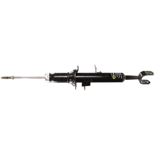 71117 OESpectrum Strut BCZC