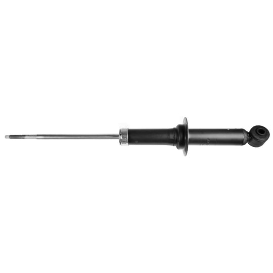 71126 OESpectrum Strut BCZC