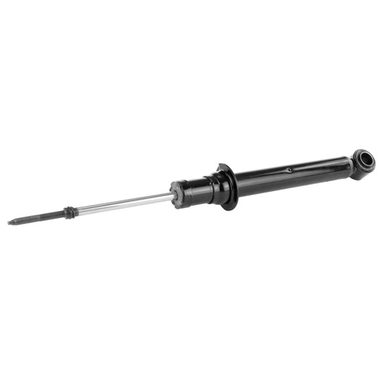 71313 OESpectrum Strut BCZC