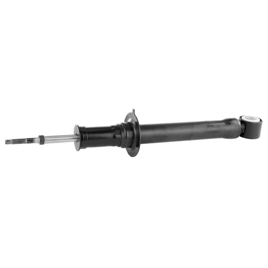 71344 OESpectrum Strut BCZC