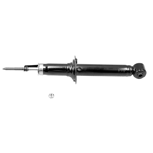 71356 OESpectrum Strut BCZC