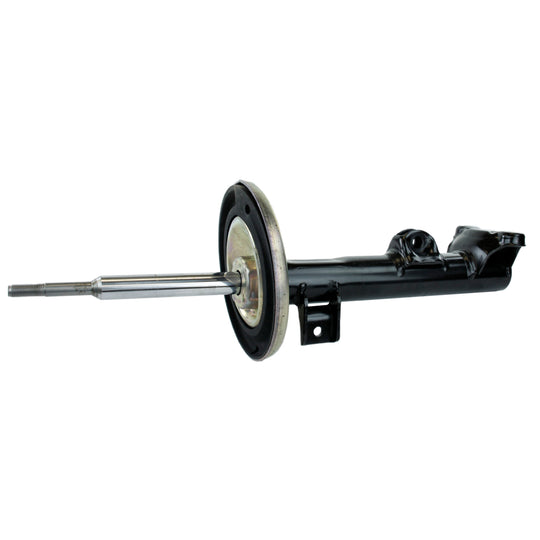 71486 OESpectrum Strut BCZC