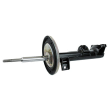 Charger l'image dans la galerie, 71488 OESpectrum Strut BCZC