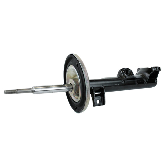 71488 OESpectrum Strut BCZC