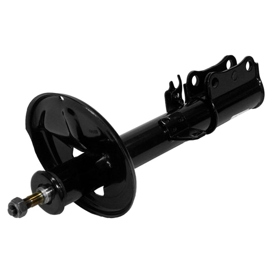 71496 OESpectrum Strut BCZC