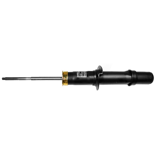 71565 OESpectrum Strut BCZC