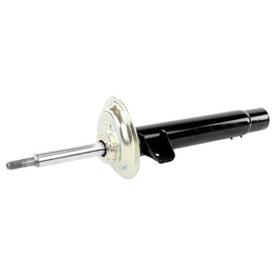 71581 OESpectrum Strut BCZC