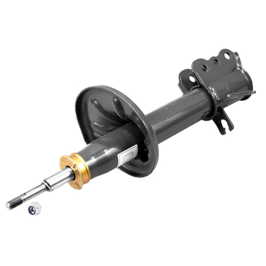 71588 OESpectrum Strut BCZC