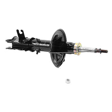 Charger l'image dans la galerie, 71639 OESpectrum Strut BCZC