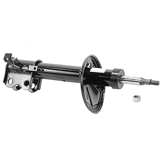 71655 OESpectrum Strut BCZC