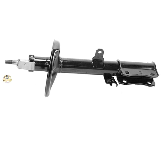 71681 OESpectrum Strut BCZC