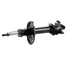 Charger l'image dans la galerie, 71898 OESpectrum Strut BCZC