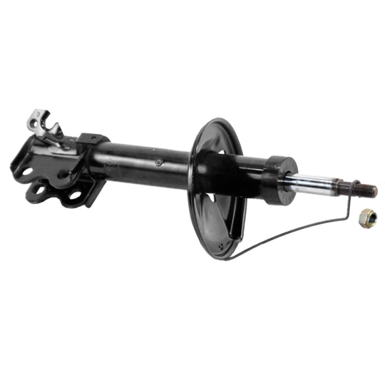 71899 OESpectrum Strut BCZC