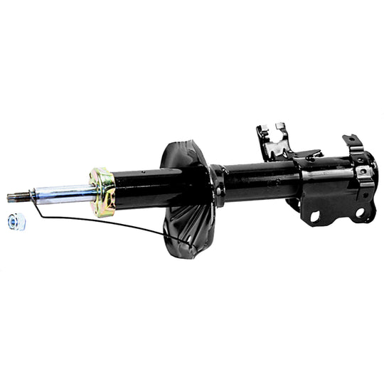 71969 OESpectrum Strut BCZC