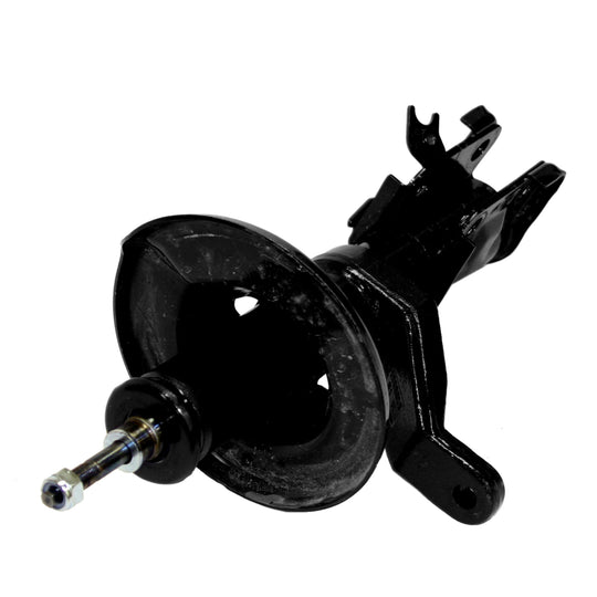 72135 OESpectrum Strut BCZC