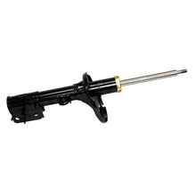 Charger l'image dans la galerie, 72222 OESpectrum Strut BCZC