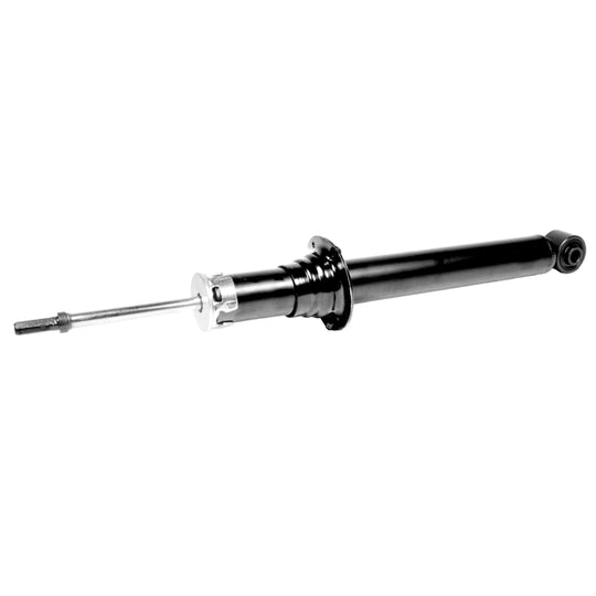 72341 OESpectrum Strut BCZC