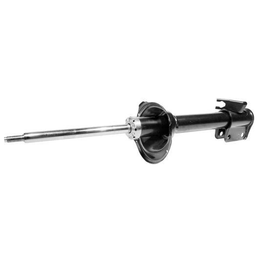 72446 OESpectrum Strut BCZC