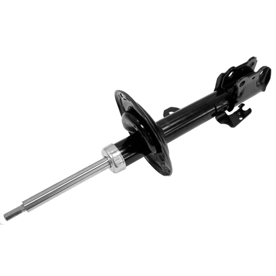 72484 OESpectrum Strut BCZC