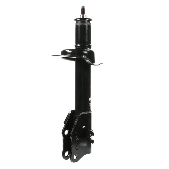 72493 OESpectrum Strut BCZC