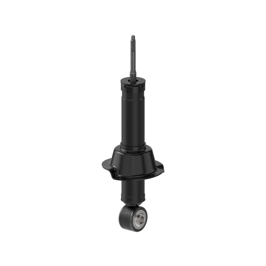 72497 OESpectrum Strut BCZC