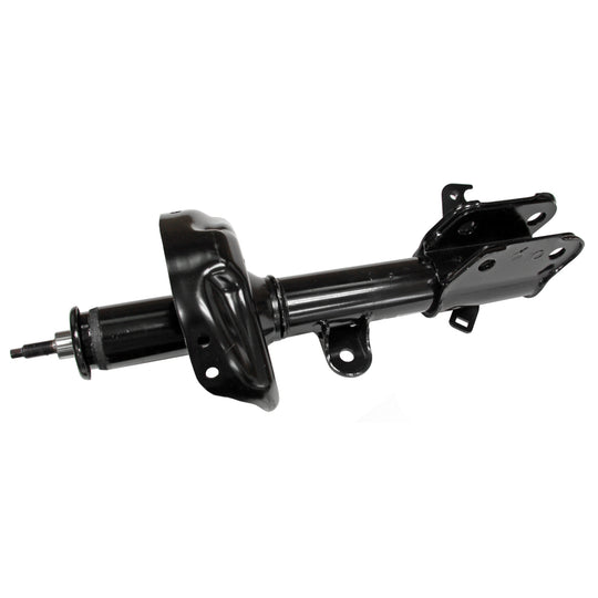 72541 OESpectrum Strut BCZC