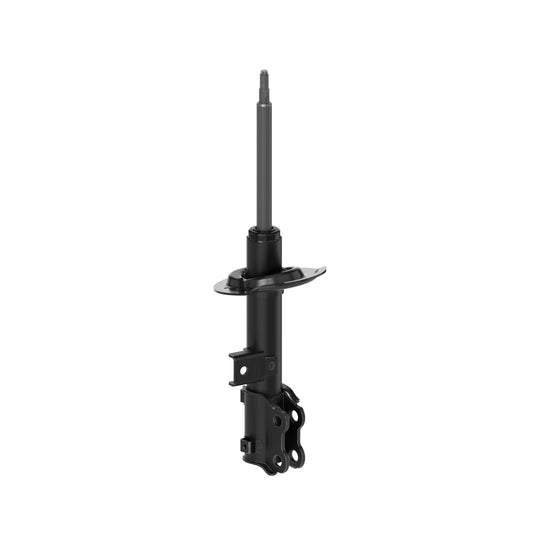 72587 OESpectrum Strut BCZC
