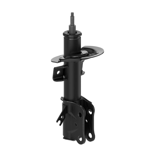 72638 OESpectrum Strut BCZC