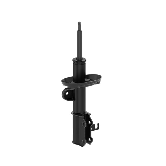 72663 OESpectrum Strut BCZC