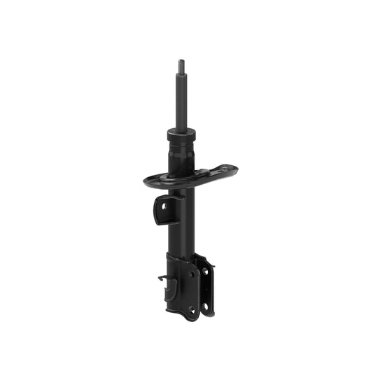 72668 OESpectrum Strut BCZC