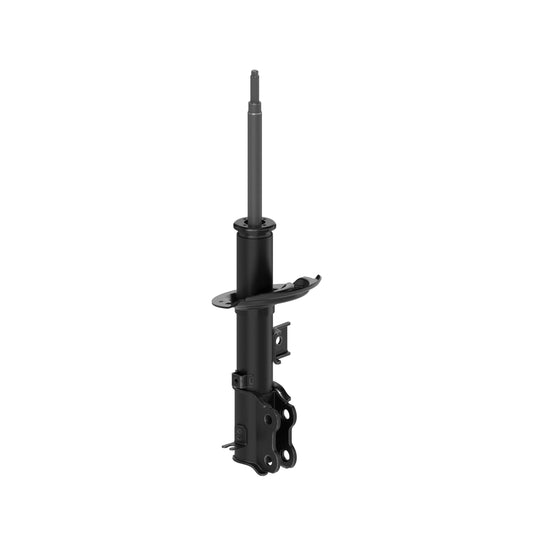 72706 OESpectrum Strut BCZC