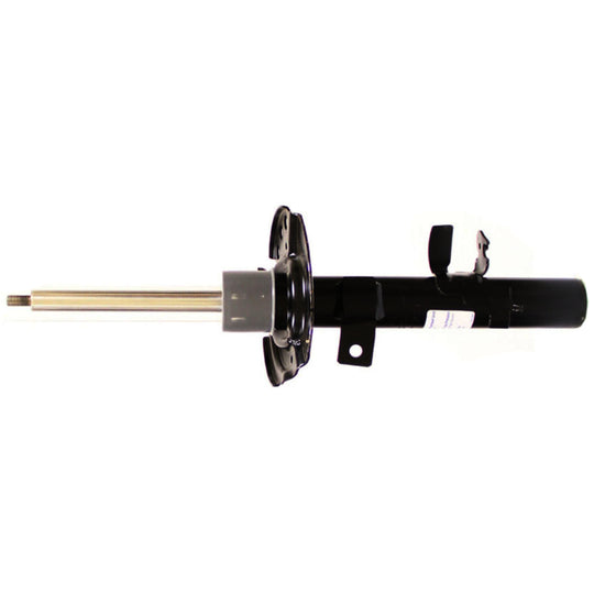 72749 OESpectrum Strut BCZC
