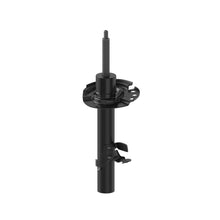 Load image into Gallery viewer, 72750 OESpectrum Strut BCZC